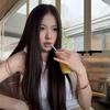 鲨鱼大王66