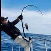 微胖的骆驼🎣