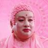 龙晓敏🐷🐷🐷