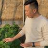 黄瓜种植～黄国明