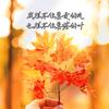 小小书生