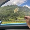糠糟盈豚 （有关必回）