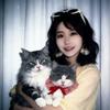 小乖是只缅因猫