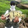 路亚单色🎣
