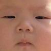 翻斗花园糊图图