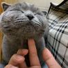 肖启鹏