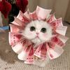 金汐的小胖