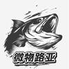 微物路亚（进阶不打龟版）