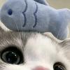 小鱼拆卡🐟