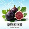 无花有果