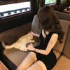 草莓熊🐾