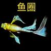 《鱼圈》孔雀鱼