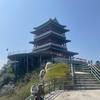 刘伟：