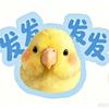 发发达饲养员
