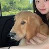 琦怪的金宝