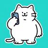 胖猫超会玩