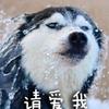给策划一刀子