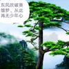 晨钟暮鼓