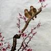 轻风晓亭