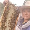 养蜜蜂的静文姐姐