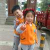 杨杨
