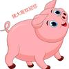我爱吃西洪柿