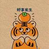 包包小虎（发财版）