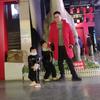 @冠芳山楂树下+汾阳王酒《柴旭升》