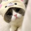 醉了醒了