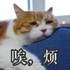 昨天，今天，明天✌