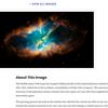 木槿昔年