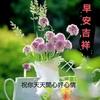 满满的幸福