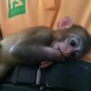 冰天の舒风