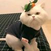 墨染星辰♛