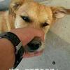 亚瑟打野王