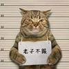 空笑