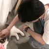 往生堂堂主瑶瑶