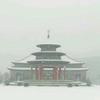 溦醺