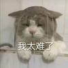 ♥古☞月☞胡♥