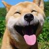 钱真多