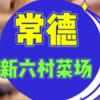 邓丽英子