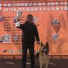 赵鑫犬舍（寿光）