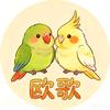 欧也的鹦鹉（贵阳牡丹/玄凤）