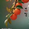 柿柿如意