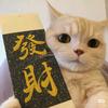 独白