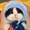 保持热爱