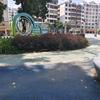大地的小学