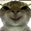 我喜欢小猫！！！