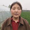 韦集小蛋农资