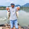 @李大治🎣